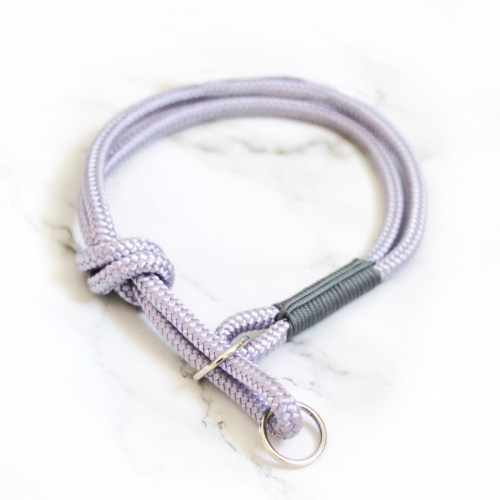 sliphalsband met verstelbare stopknoop in gebruik tijdens hondentraining, ideaal voor gecontroleerde correctie en positieve begeleiding.
