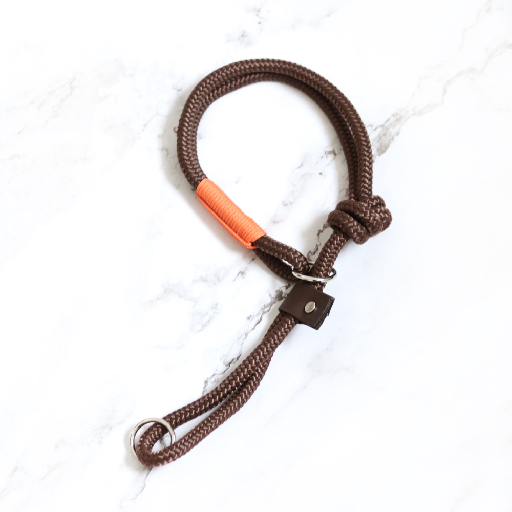 Meegroei halsband puppy