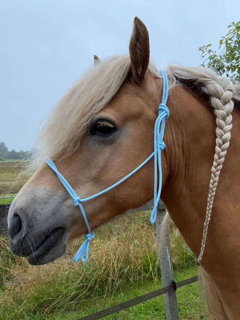 touwhalster