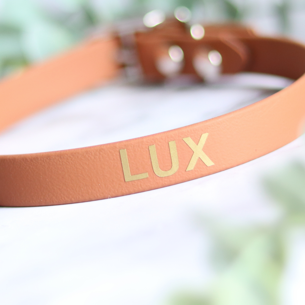Halsband met naam
