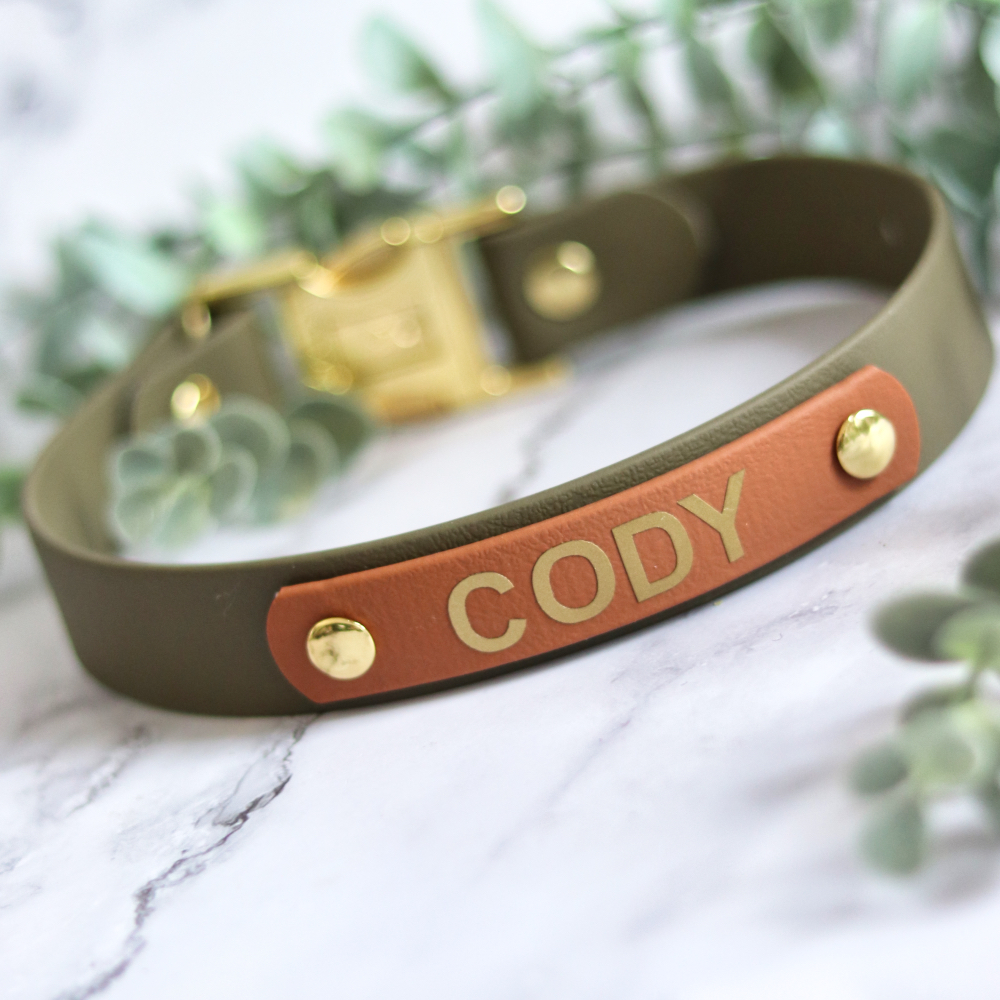 hondenhalsband met naam