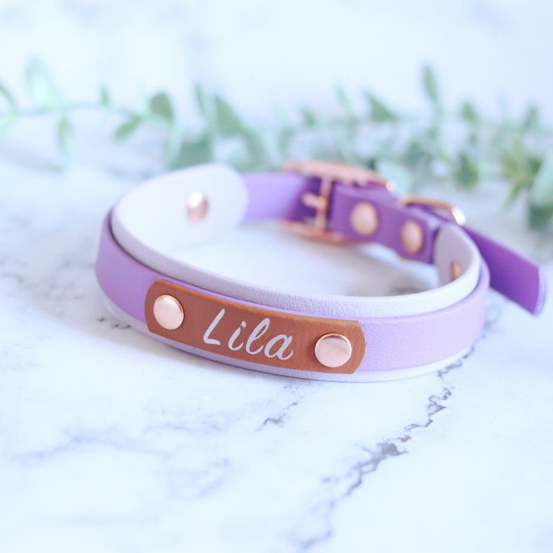 Hondenhalsband met naam