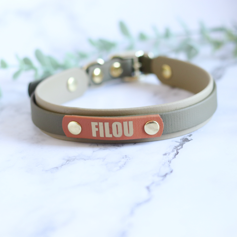Hondenhalsband met naam