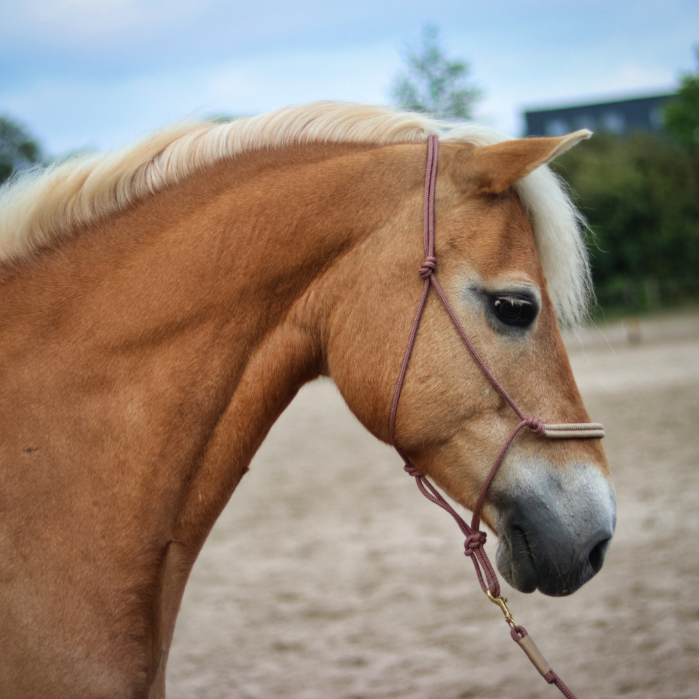 touwhalster gemaakt van pmm touw, handgemaakt