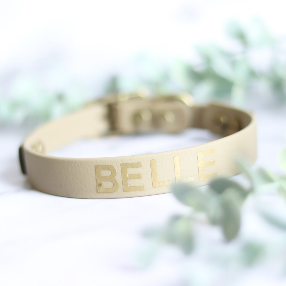Gepersonaliseerde hondenhalsband met gegraveerde naam en telefoonnummer, duurzaam BioThane materiaal.