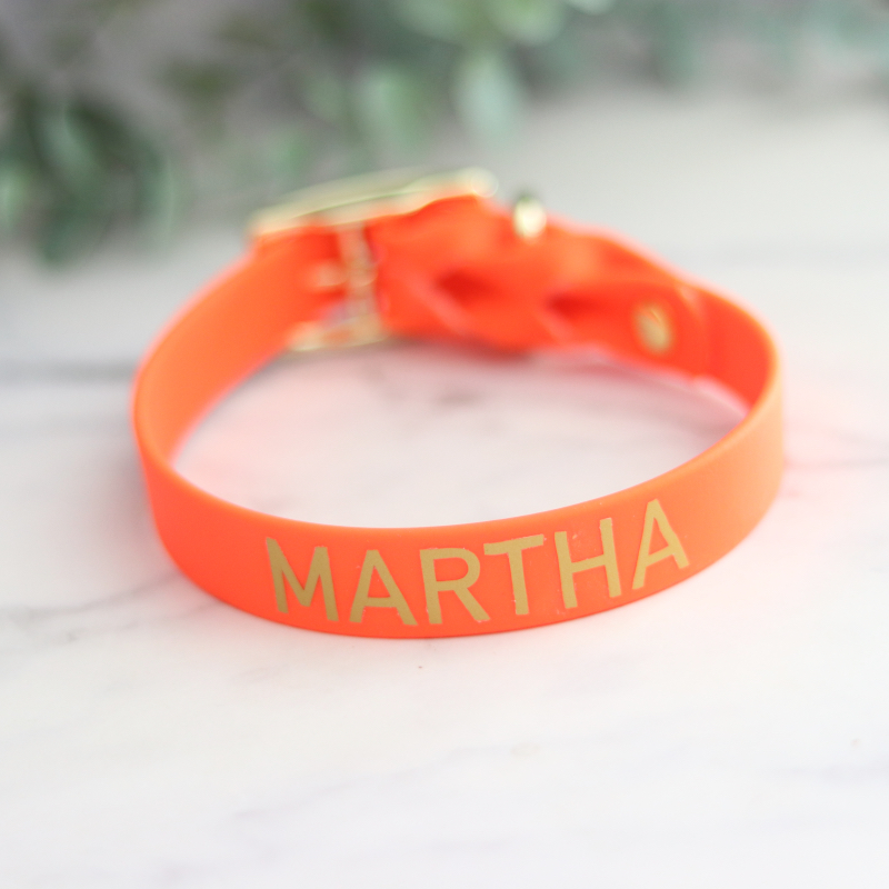Hondenhalsband met naam en telefoonnummer van BioThane, op maat gemaakt en verkrijgbaar in verschillende kleuren en stijlen.