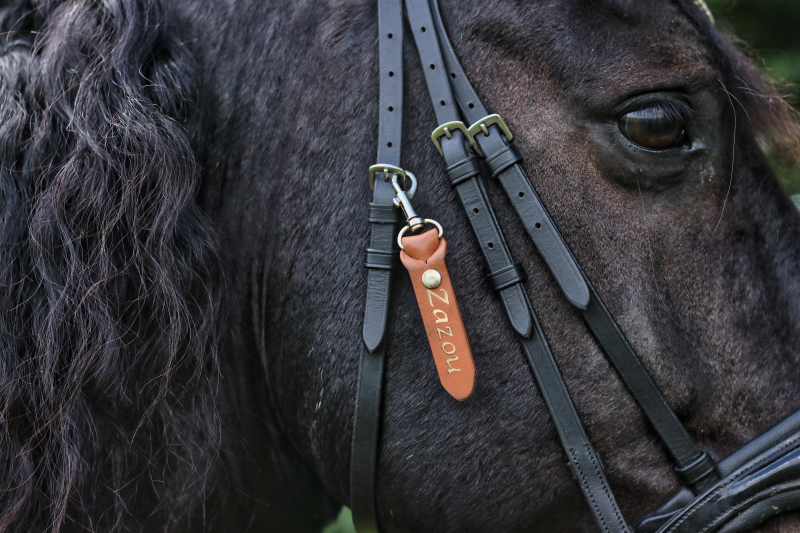 Tag paarden met telefoonnummer