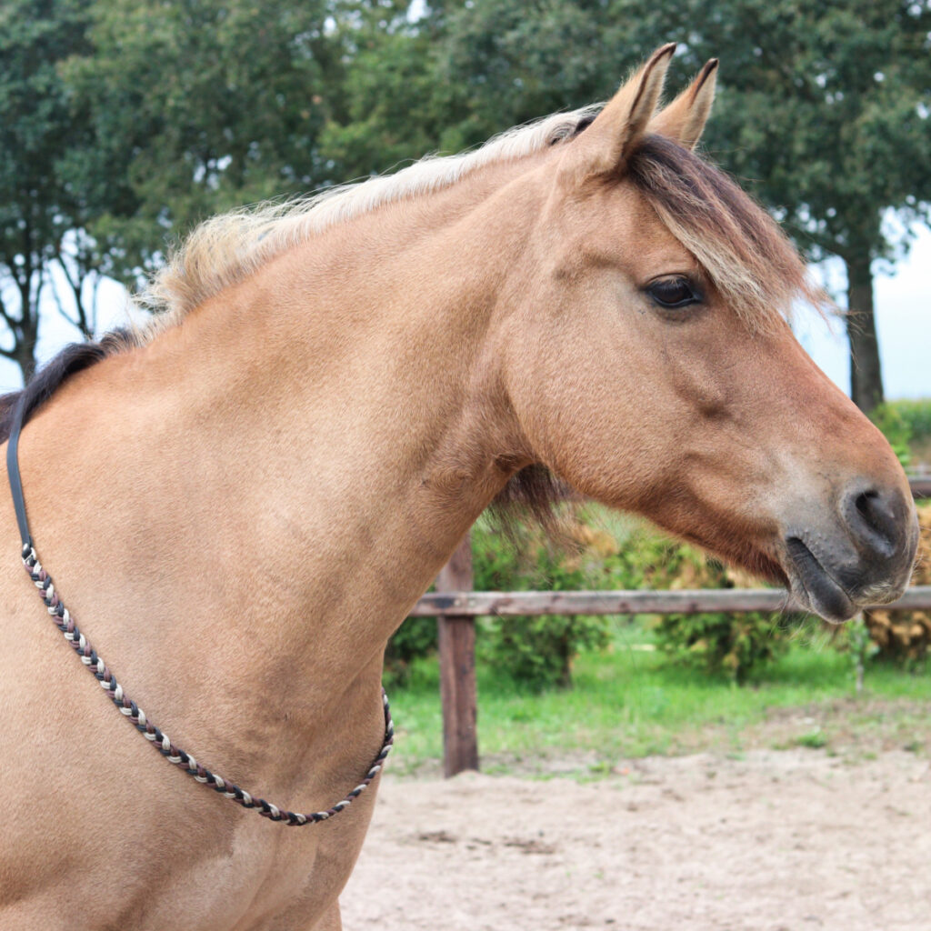 neckrope