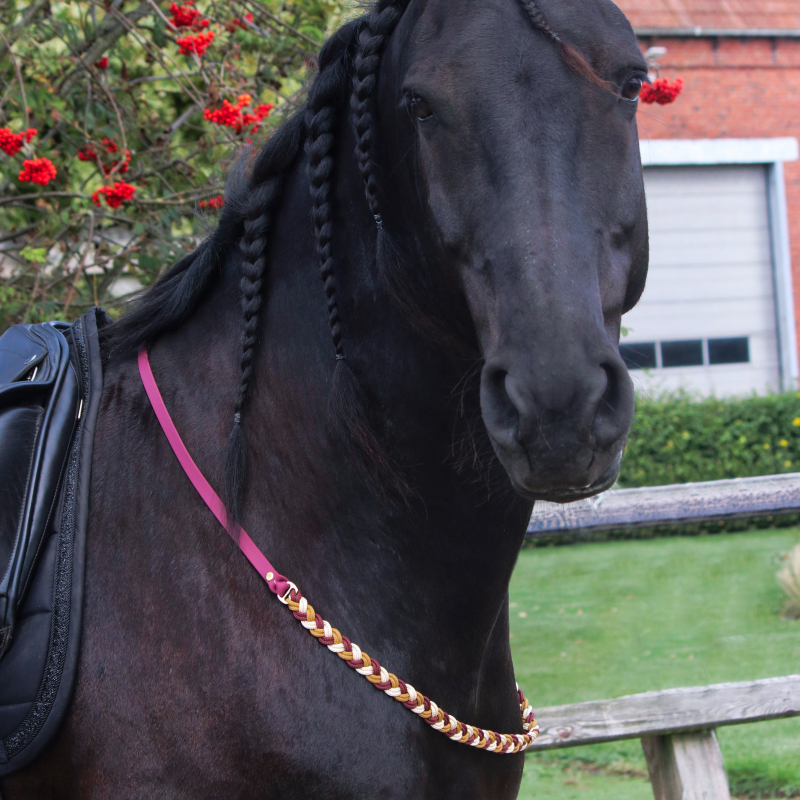 Gevlochten neckrope paard - gemaakt van touw en biothane