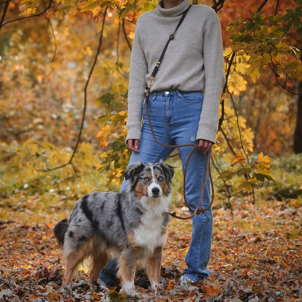 honden lijn voor over je schouder. handsfree wandelen
